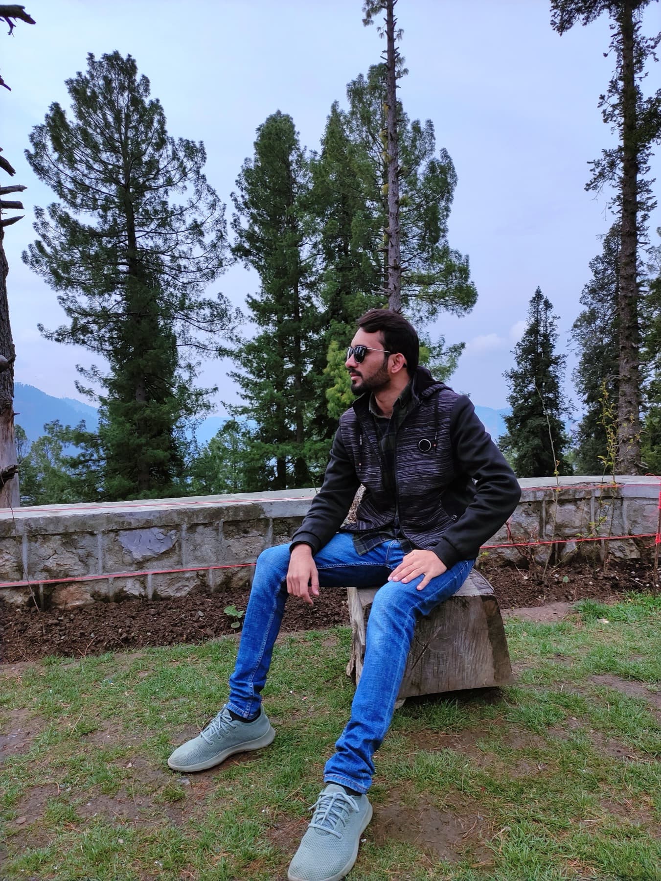 A pause among the pines, valley haze fading into the hills.